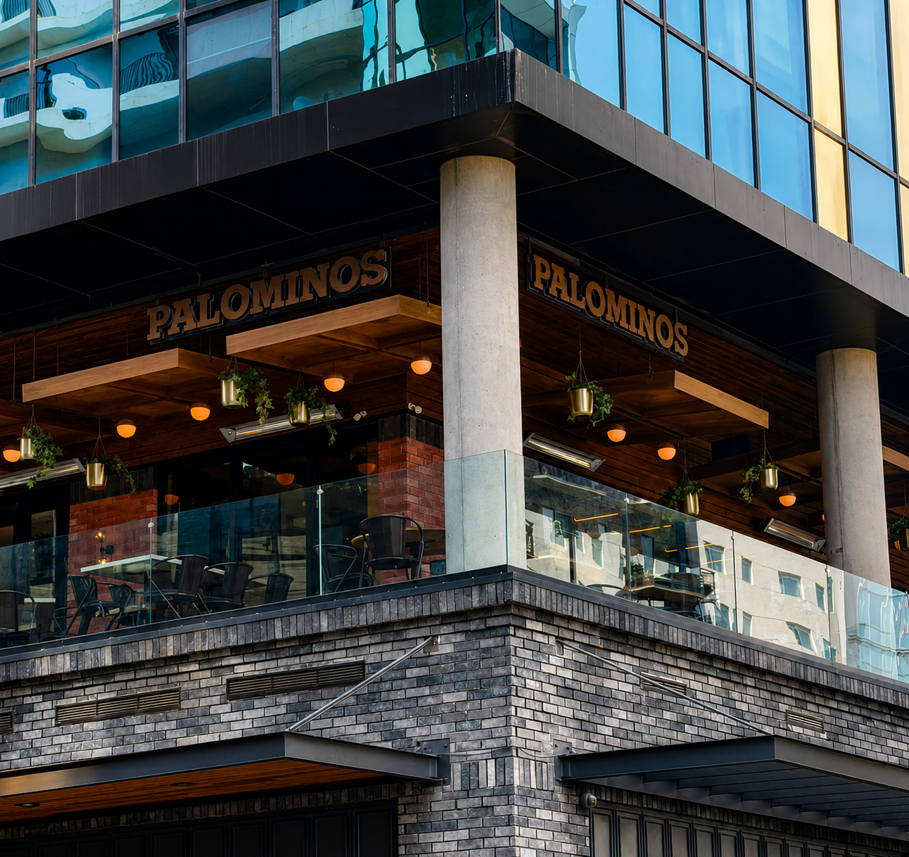 Palominos
